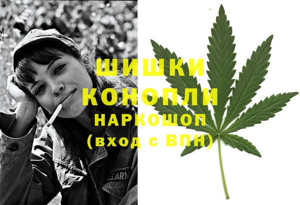 прущие грибы Тихорецк